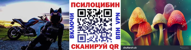 закладка  Кисловодск  Галлюциногенные грибы мицелий 
